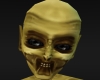 [ML]Aline  head