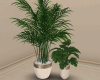Set Plants