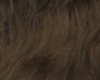 [WF] Brown Hair 1