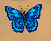 [MK]  butterfly t9