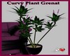 |AM| Curvy Plant Grenat