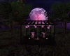 Bella Notte