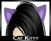 Kitty Cat