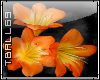 orange lily sticker