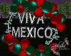 Viva Mexico Balloons