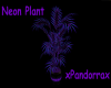 Neon Plant