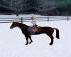 Winter Ranch Horse