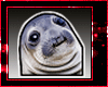 Akward seal