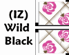 (IZ) Wild Black