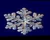 A 3D Snowflake