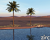 desert oasis