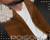 |P| Brown Coat V1