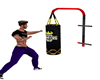 Animated punching bag