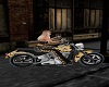 kit leopard Harley