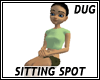 (D) Sitting Spot