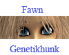 Fawn Female Eyebrows