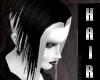 *TY Dk Gothique Poe