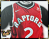 Toronto Raptors Kawhi