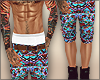Summer Shorts Aztec 2