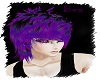 [Bea] Twisted Purple Sam