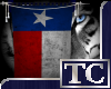 ~TC~ Texas Flag Banner