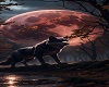Wolf with Red Moon