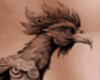 PhoenixFireball RSideTat