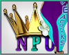 NPU BODY