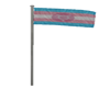 Animated Trans flag