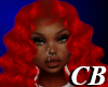 CB- Diamond Wine
