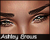         Ashley Eyebrows.