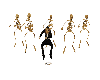 Dancing of skeletons