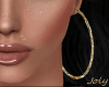 Panie Earrings Gold