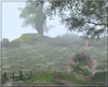 *R* Misty Garden