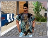 t-shirt des ile long