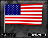 .srs. American Flag