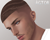 $ Wave Fade