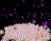 Particles trigger: P