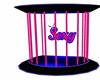 Sexy Dance Cage