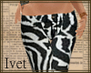 ~ Zebra Muse