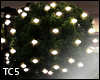 Plant lights