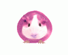 Ela 🐹 Hamster