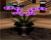 Lodge Orchid Purple