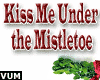 Kiss Me Under Mistletoe