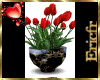 [Efr] Oasis Tulips Red