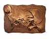 Dinosaur fossil plate