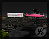 Thailand Plane w Banner
