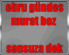 Ebru Gundes -Sonsuza Dek