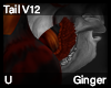 Ginger Tail V12