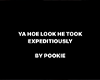Pookie Quote Flag